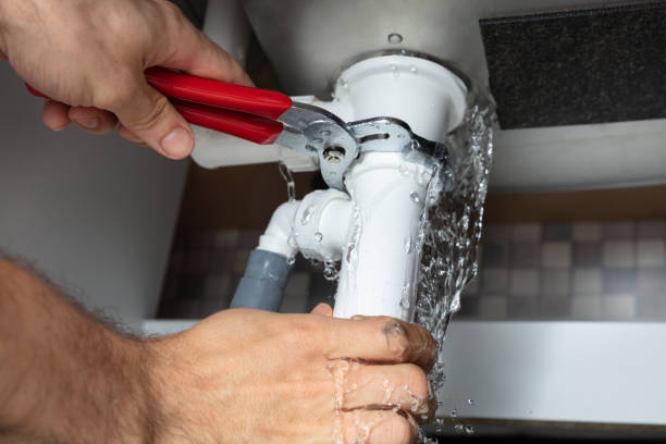 Best Water damage restoration cost  in Blountsville, AL