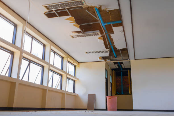 Best Residential water damage restoration  in Blountsville, AL