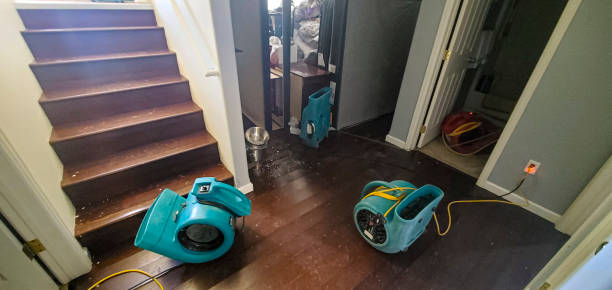Best 24-hour water damage restoration  in Blountsville, AL