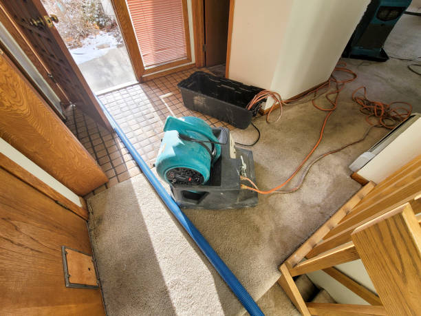 Best Local water damage restoration  in Blountsville, AL