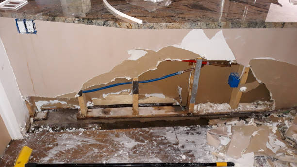 Best Mold removal after water damage  in Blountsville, AL