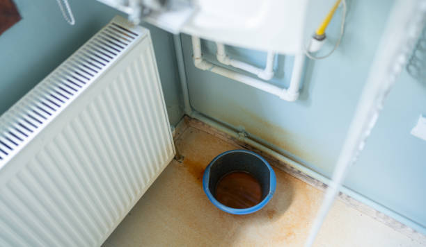 Best Fire Damage Restoration  in Blountsville, AL