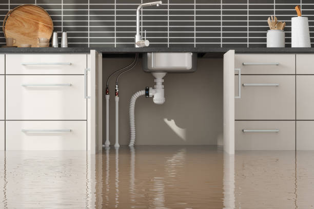 Professional Water damage restoration in AL