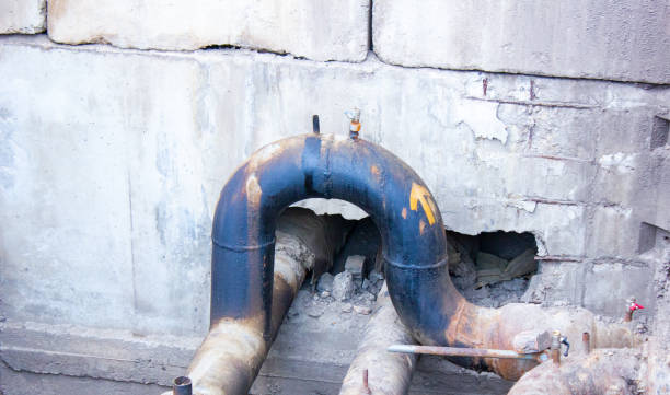 Best Sewage cleanup and water damage restoration  in Blountsville, AL